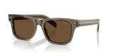 Transparent Terra / Dark Brown (18T70F)