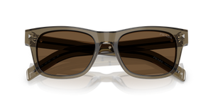 Transparent Terra / Dark Brown (18T70F)