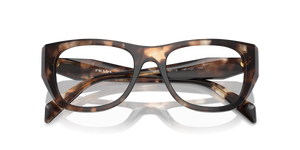 Caramel Tortoise / Demo Lens (14P1O1)
