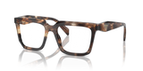 Caramel Tortoise / Demo Lens (14P1O1)