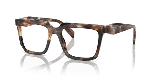 Caramel Tortoise / Demo Lens (14P1O1)