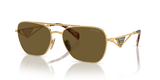 Gold / Dark Brown (5AK01T)