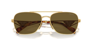 Gold / Dark Brown (5AK01T)