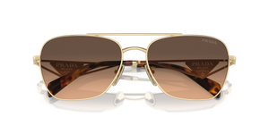 Pale Gold / Brown Gradient Grey (ZVN50C)