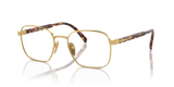 Gold / Demo Lens (5AK1O1)