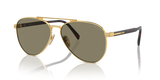 Gold / Light Brown (5AK90F)