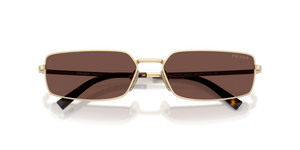 Pale Gold / Black Chocolate (ZVN80T)