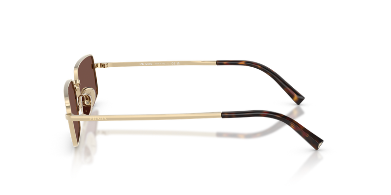 Prada PR A60S in Pale Gold / Black Chocolate (ZVN80T) - Alternate View