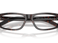 Root Havana / Demo Lens (17N1O1)