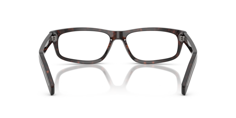 Prada PR B02V in Root Havana / Demo Lens (17N1O1) - Alternate View