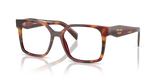 Poppy Tortoise / Demo Lens (22A1O1)