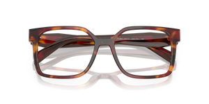 Poppy Tortoise / Demo Lens (22A1O1)