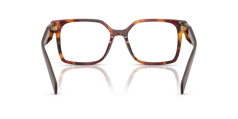 Prada PR B03V in Poppy Tortoise / Demo Lens (22A1O1) - Alternate View