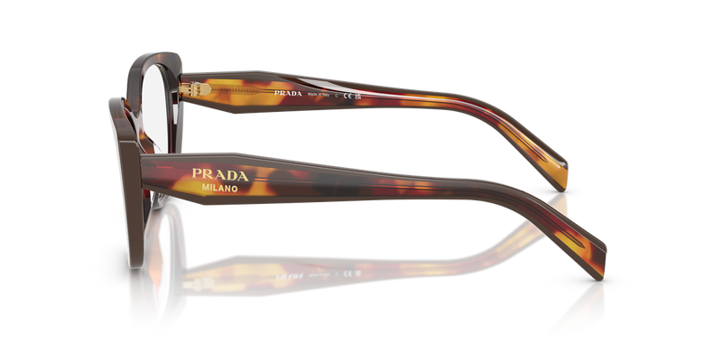 Prada PR B04VF in Poppy Tortoise/Bordeaux / Demo Lens (22A1O1) - Alternate View
