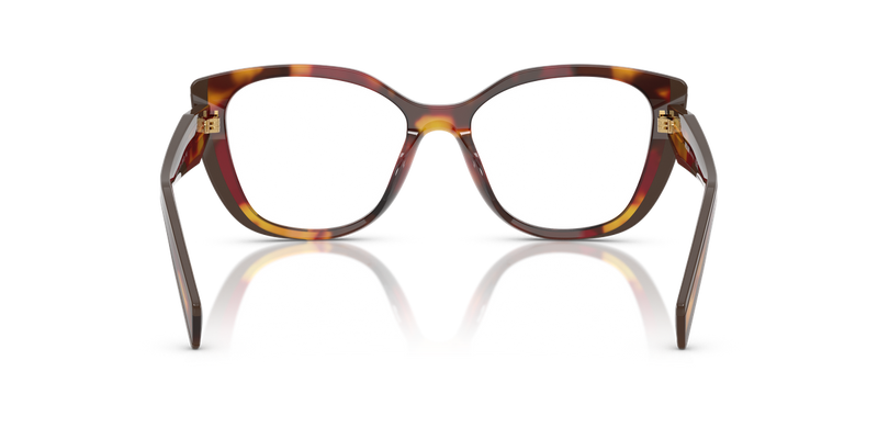Prada PR B04VF in Poppy Tortoise/Bordeaux / Demo Lens (22A1O1) - Alternate View