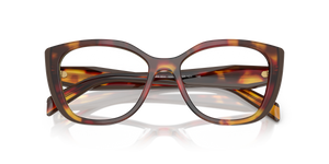 Poppy Tortoise/Bordeaux / Demo Lens (22A1O1)