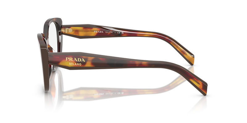Prada PR B04V in Poppy Tortoise/Bordeaux / Demo Lens (22A1O1) - Alternate View