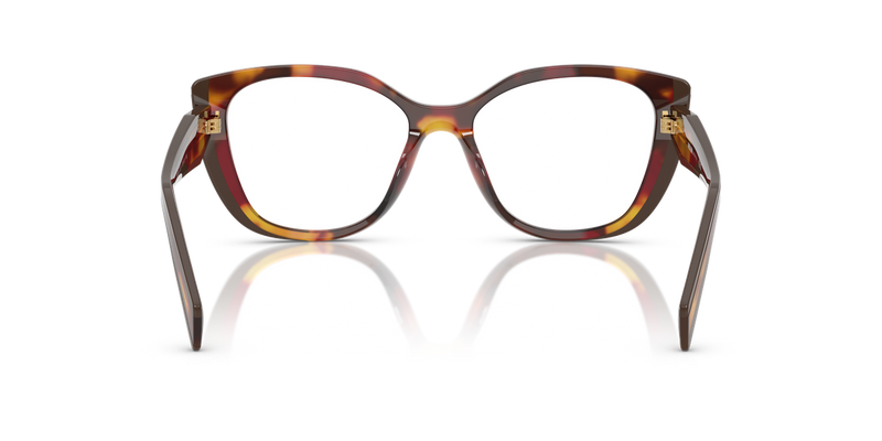 Prada PR B04V in Poppy Tortoise/Bordeaux / Demo Lens (22A1O1) - Alternate View