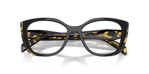 Black/Medium Tortoise / Demo Lens (3891O1)