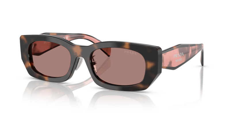 Prada PR B05SF in Mauve Tortoise - Alternate View