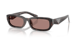Root Tortoise / Light Brown (17N60B)