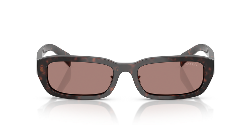 Prada PR B06SF in Root Tortoise - Alternate View