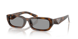 Juniper Tortoise / Grey (20D50Q)