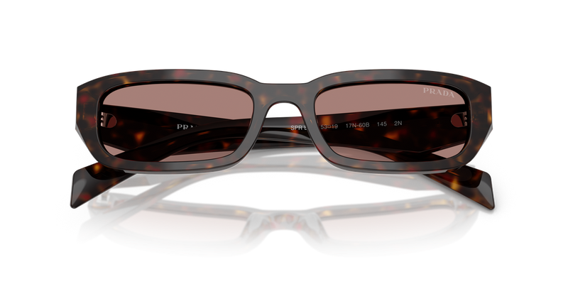 Prada PR B06S in Root Tortoise - Alternate View
