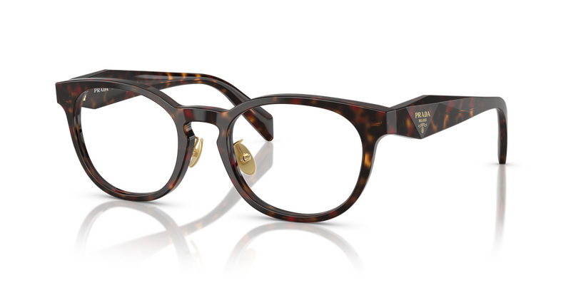Prada PR B06VD in Root Tortoise - Alternate View