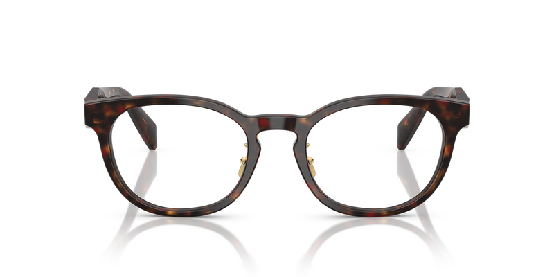 Prada PR B06VD in Root Tortoise - Alternate View