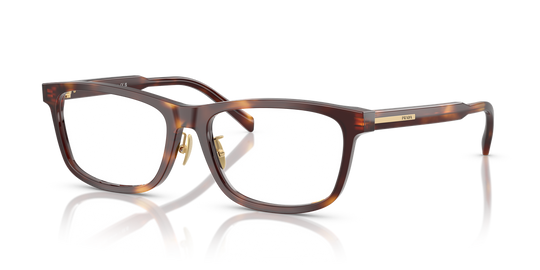 Prada PR B08VD - Havana / Demo Lens (15W1O1)