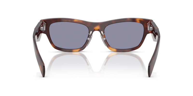 Prada PR B09SF in Classic Tortoise - Temple Detail