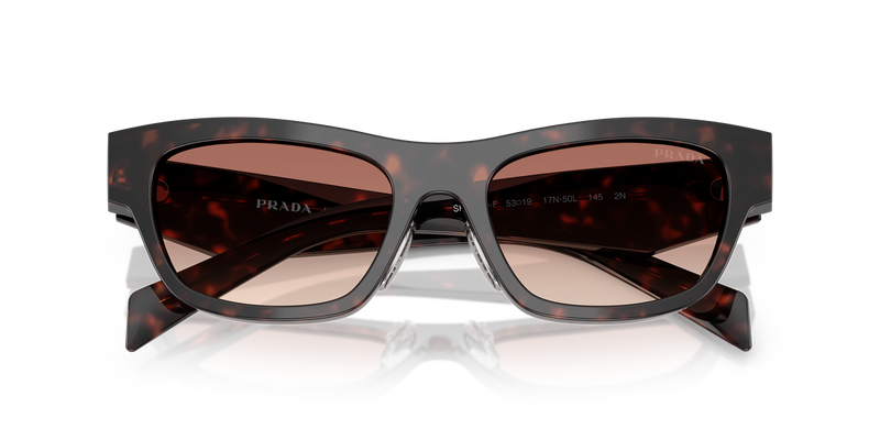 Prada PR B09SF in Root Tortoise - Alternate View