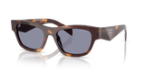 Classic Tortoise / Grey (15W03N)