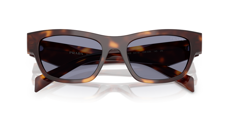 Prada PR B09S in Classic Tortoise - Side View