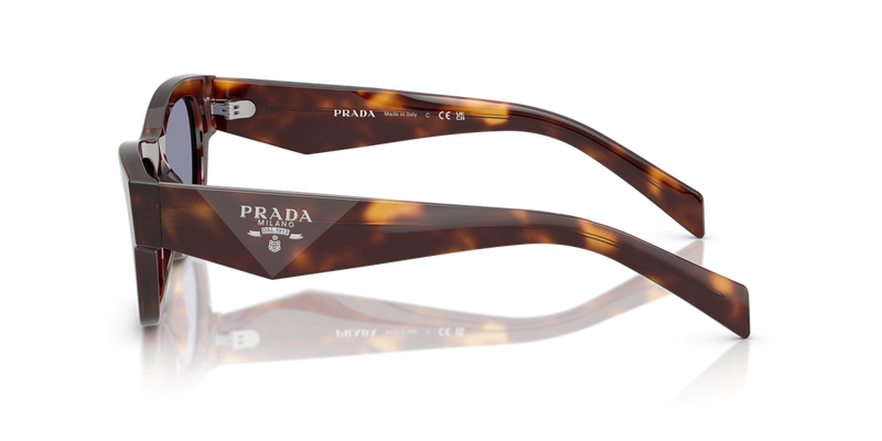 Prada PR B09S in Classic Tortoise - Back View