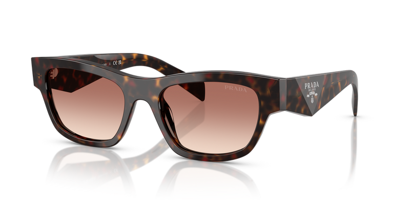 Prada PR B09S in Root Tortoise - Alternate View