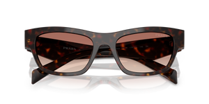 Root Tortoise / Light Brown Gradient Bordeaux (17N50L)