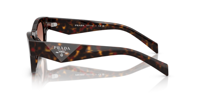 Prada PR B09S in Root Tortoise - Alternate View