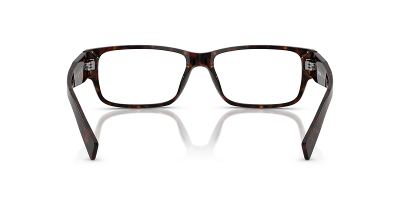 Prada PR B09VF in Root Havana - Alternate View