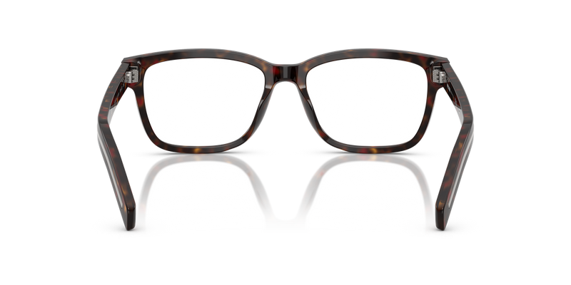 Prada PR B10VF in Root Havana - Alternate View