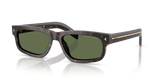 Root Tortoise / Polarized Green (17N20G)