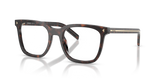 Root Tortoise / Demo Lens (17N1O1)