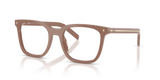 Pecan / Demo Lens (28D1O1)