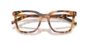 Cinnamon Tortoise / Demo Lens (29C1O1)