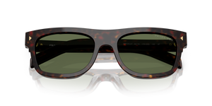 Root Tortoise / Polarized Green (17N20G)