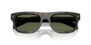 Root Tortoise / Polarized Green (17N20G)