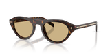 Root Tortoise / Light Brown (17N70R)