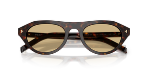 Root Tortoise / Light Brown (17N70R)