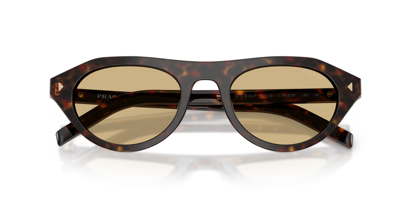 Prada PR B15SF in Root Tortoise - Alternate View